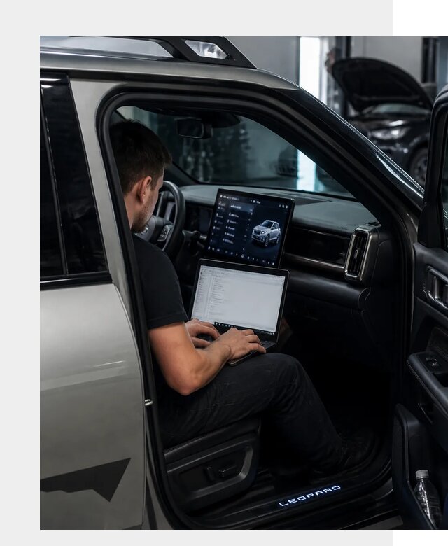 Русификация BYD Leopard 3 в Вятских Поляне по цене от 20199 р. | ФастМобиль-Втс